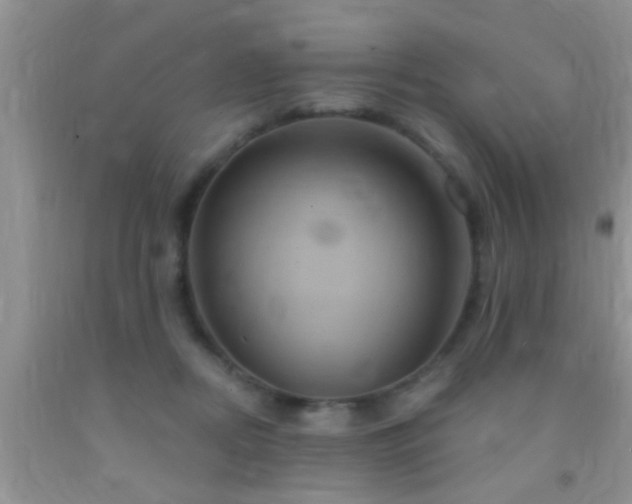 X0000092110362200709191333