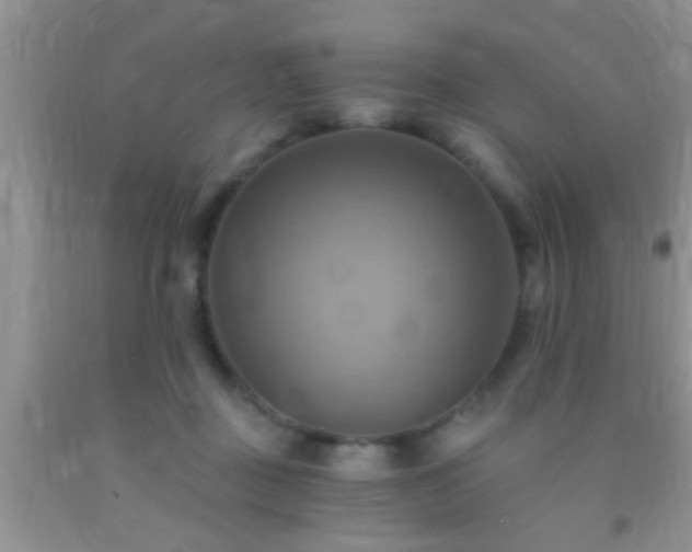 X0000092110363200709191333