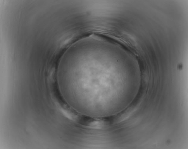 X0000092110364200709191333