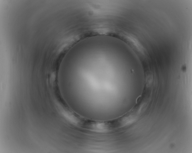 X0000092110365200709191333