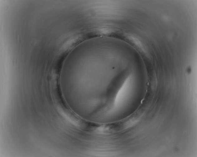 X0000092110366200709191333