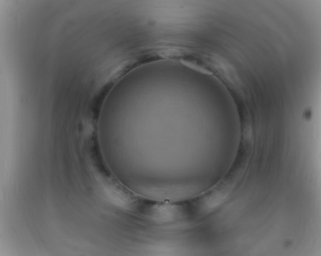 X0000092110367200709191333