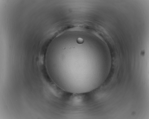 X0000092110368200709191333