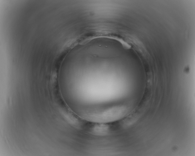 X0000092110369200709191333