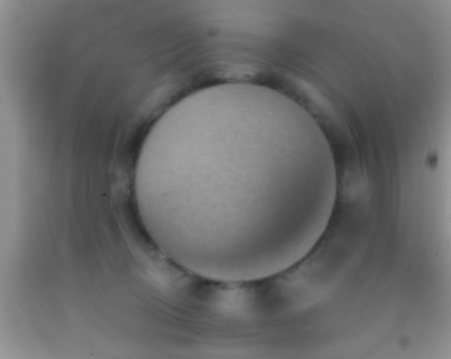 X0000092110370200709191333