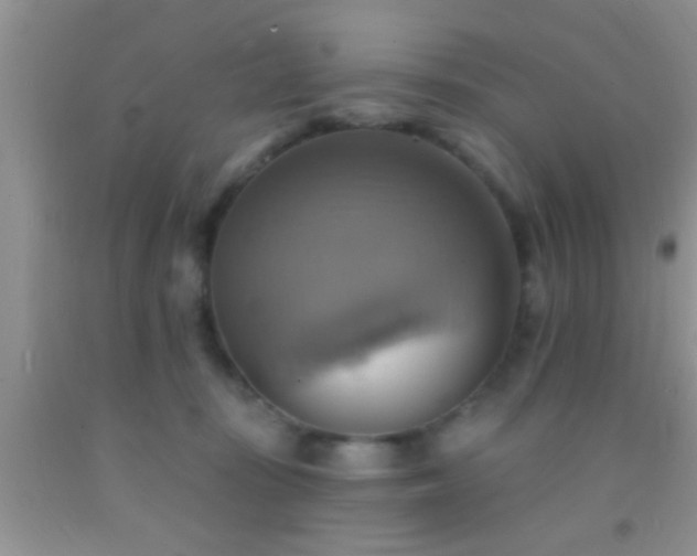 X0000092110371200709191333