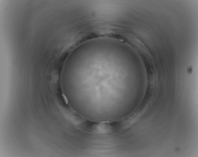 X0000092110372200709191333