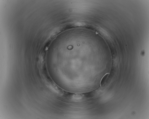 X0000092110373200709191333