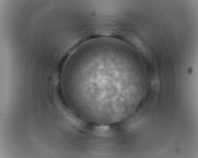 X0000092110374200709191333