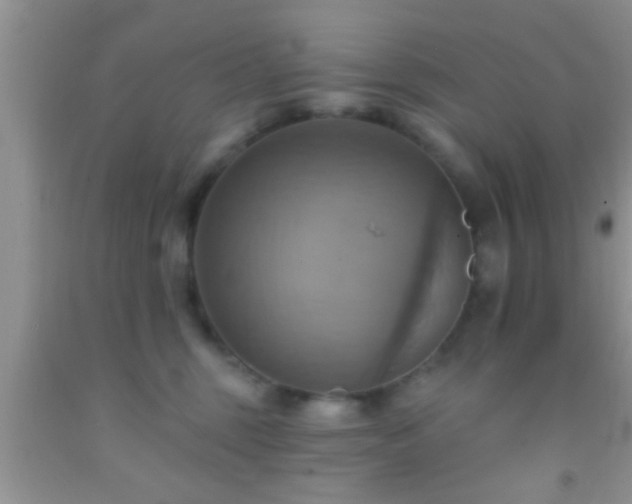 X0000092110375200709191333