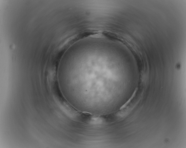 X0000092110376200709191333