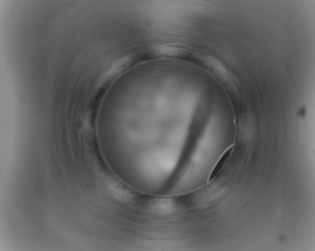 X0000092110377200709191333