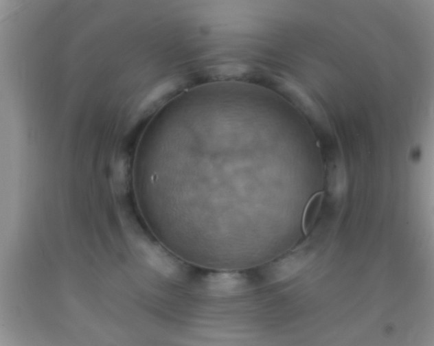 X0000092110378200709191333