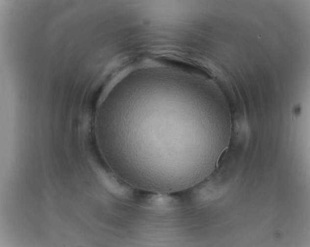 X0000092110379200709191333