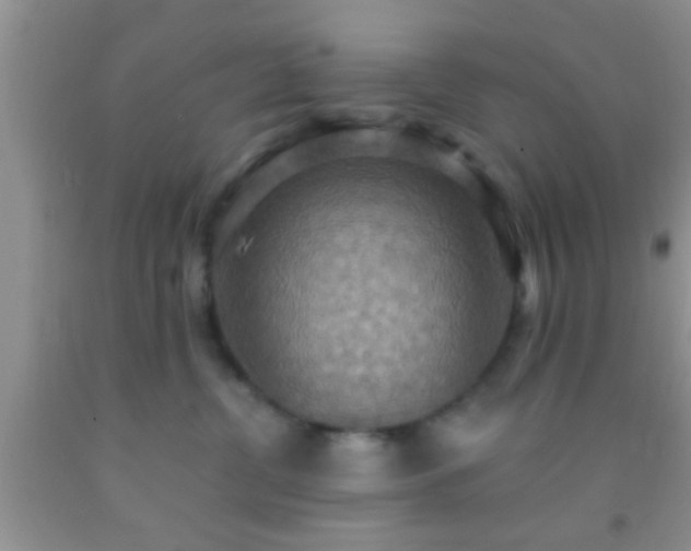 X0000092110380200709191333