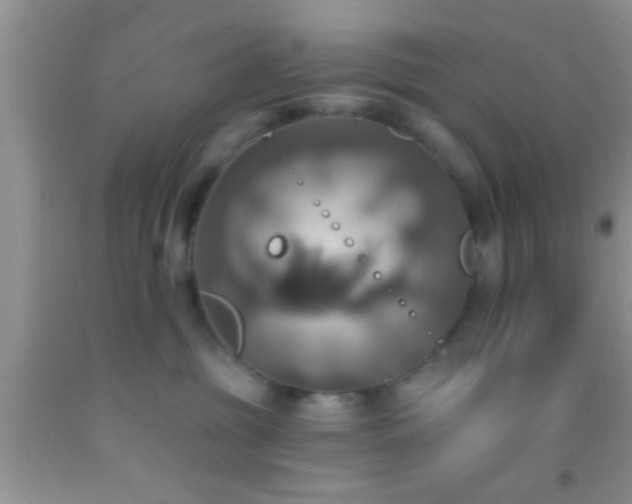 X0000092110381200709191333