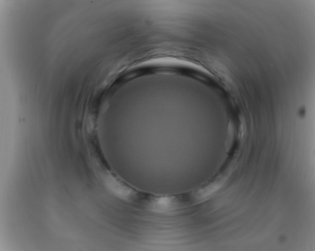 X0000092110382200709191333