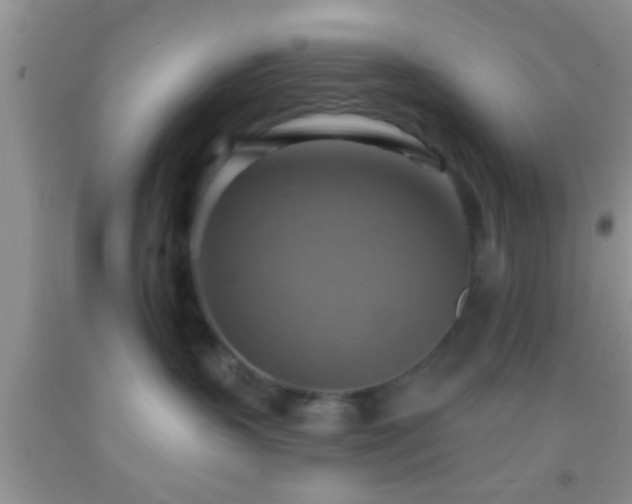 X0000092110383200709191333