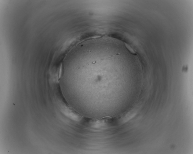 X0000092110384200709191333