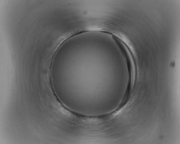 X0000092110385200709191332