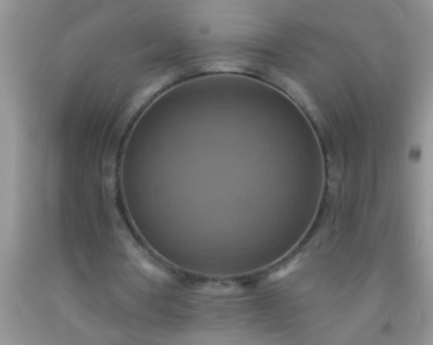 X0000092110386200709191332