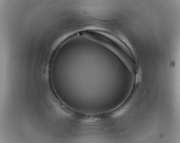 X0000092110387200709191332