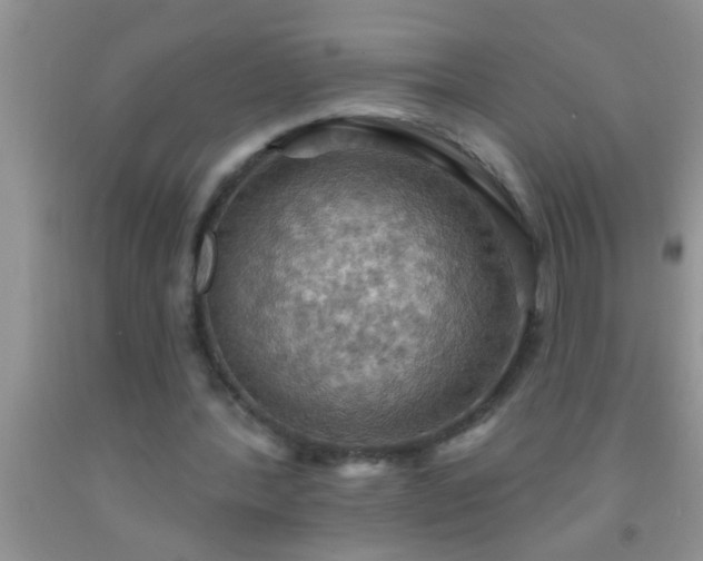 X0000092110388200709191332