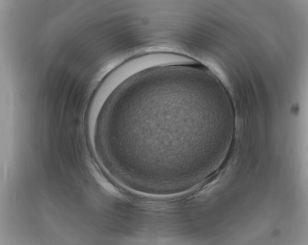 X0000092110389200709191332