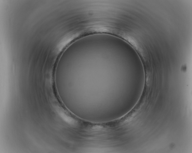 X0000092110390200709191332