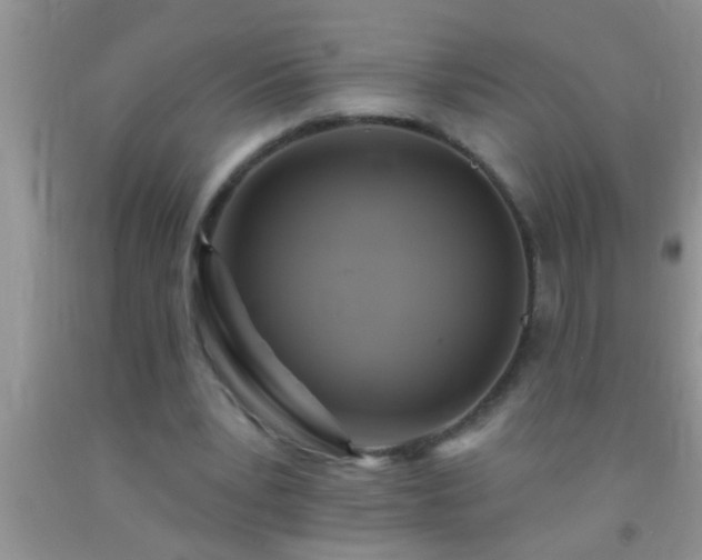 X0000092110391200709191332