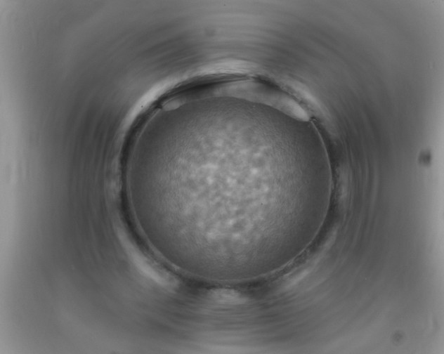 X0000092110392200709191332