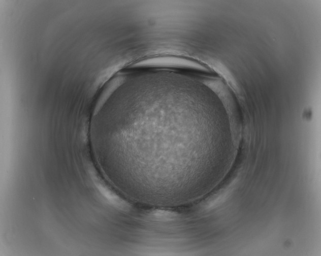 X0000092110393200709191332