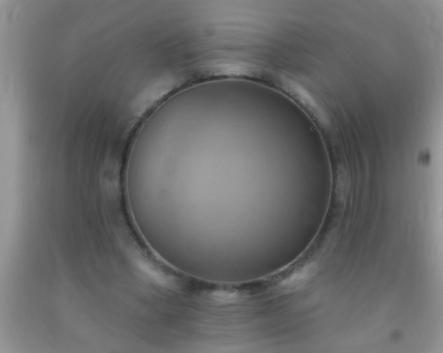 X0000092110394200709191332