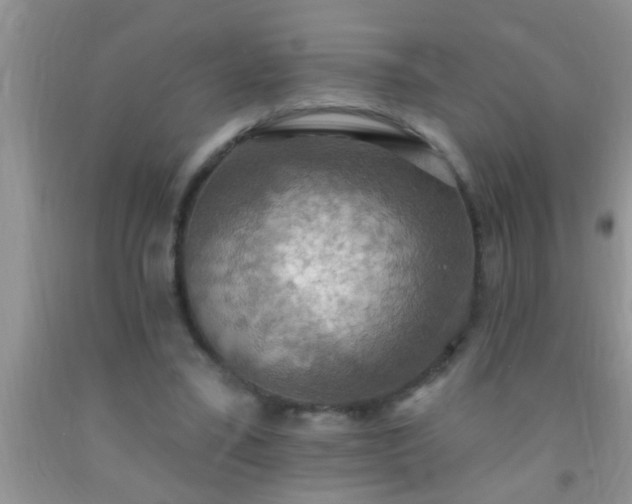 X0000092110395200709191332