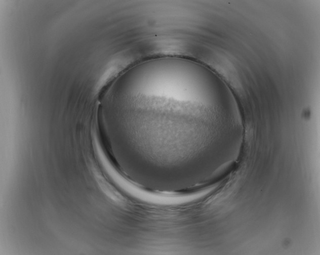 X0000092110397200709191332