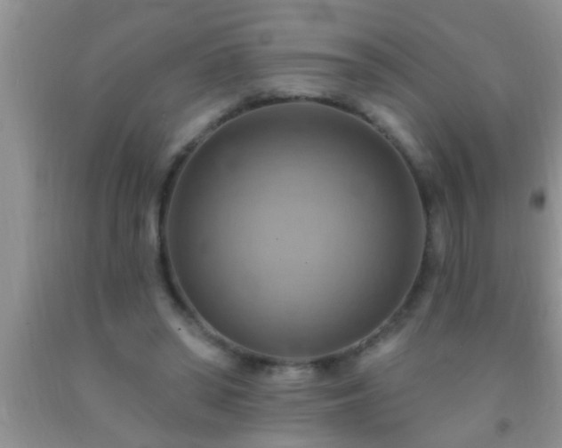 X0000092110398200709191332