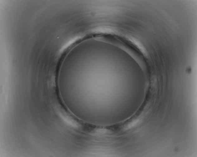 X0000092110399200709191332