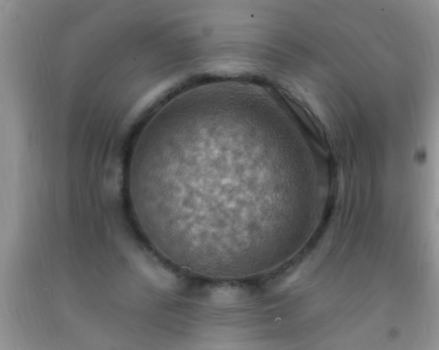 X0000092110400200709191332