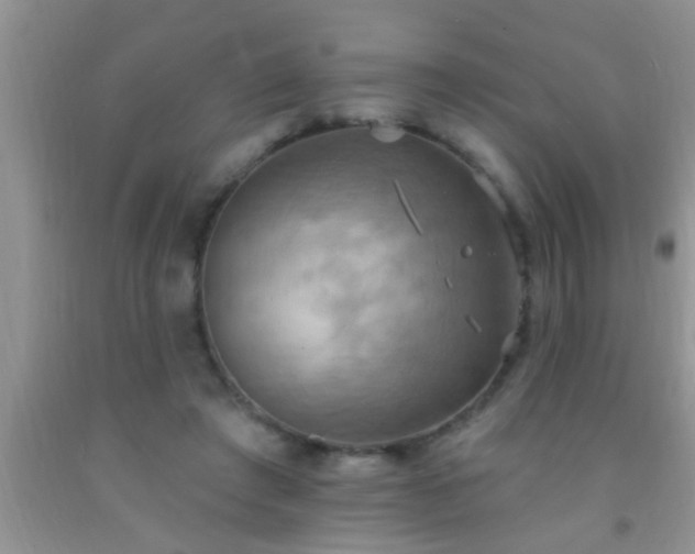 X0000092110401200709191332