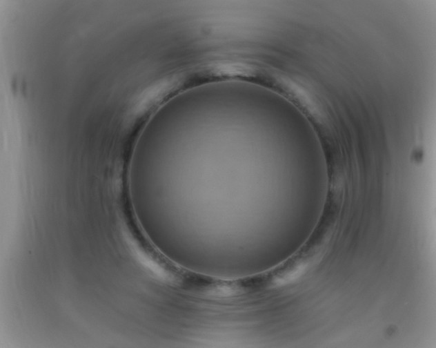 X0000092110402200709191332