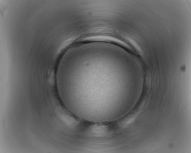 X0000092110403200709191332