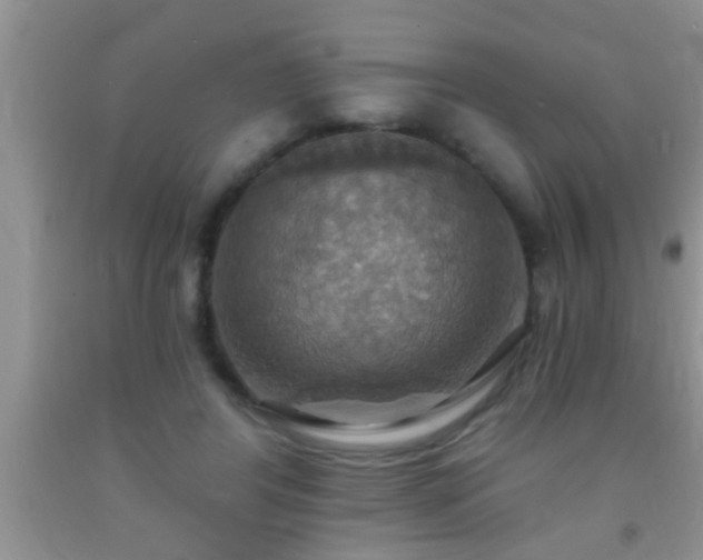 X0000092110404200709191332