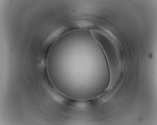 X0000092110405200709191332