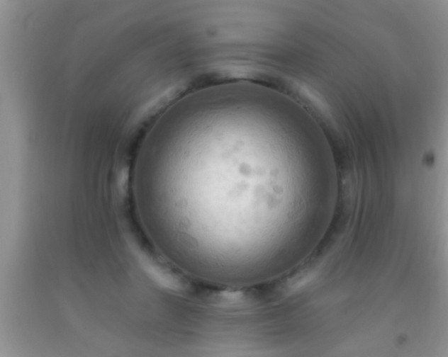 X0000092110406200709191332