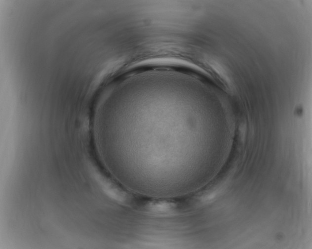 X0000092110407200709191332