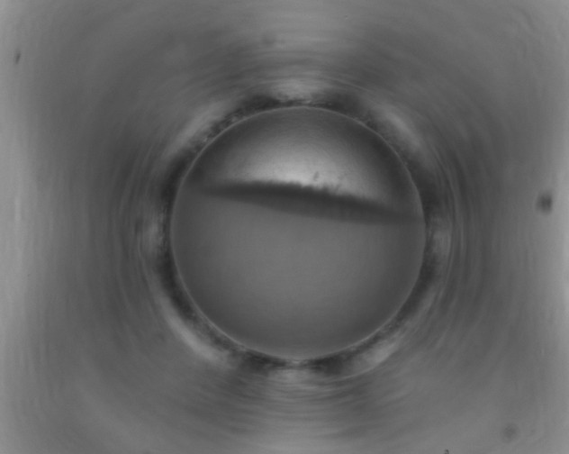 X0000092110408200709191332