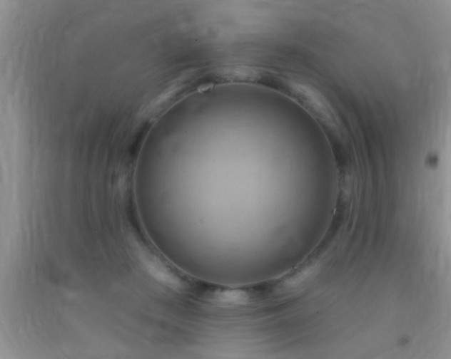 X0000092110409200709191332