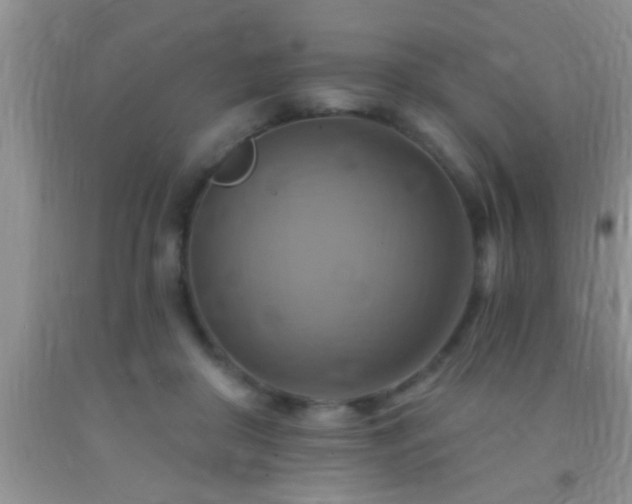 X0000092110410200709191332