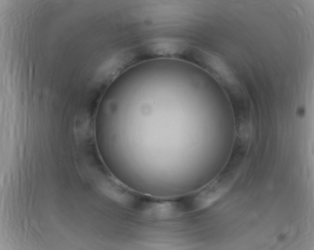 X0000092110411200709191332