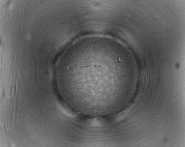 X0000092110412200709191332